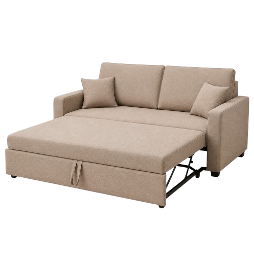 Sofa Cum Bed