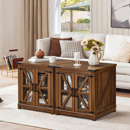 Royal Marwar Solid Mango Wood Side Table | Bedside Table with 2 Glass Door Storage Cabinet | Black Finish