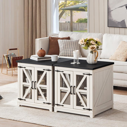 Royal Marwar Solid Mango Wood Side Table | Bedside Table with 2 Glass Door Storage Cabinet | Black Finish
