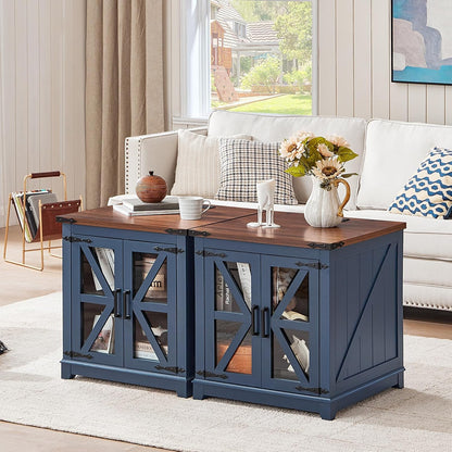 Royal Marwar Solid Mango Wood Side Table | Bedside Table with 2 Glass Door Storage Cabinet | Black Finish