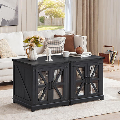 Royal Marwar Solid Mango Wood Side Table | Bedside Table with 2 Glass Door Storage Cabinet | Black Finish
