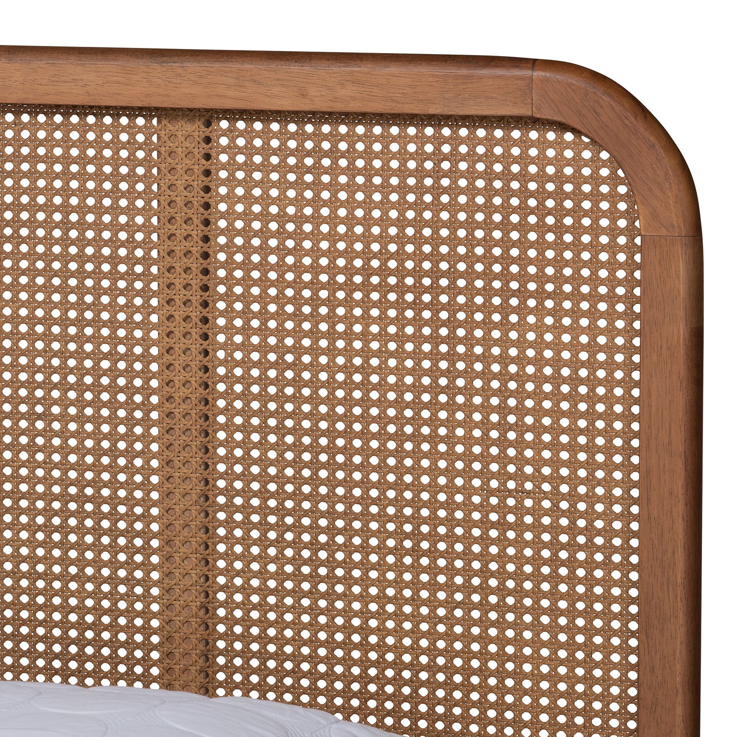 Royal Marwar Solid Sheesham Wood Queen Size Cane Bed | Natural Rattan Headboard | Premium Honey Finish | Wooden Bed Without Storage