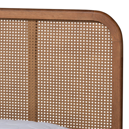 Royal Marwar Solid Sheesham Wood Queen Size Cane Bed | Natural Rattan Headboard | Premium Honey Finish | Wooden Bed Without Storage