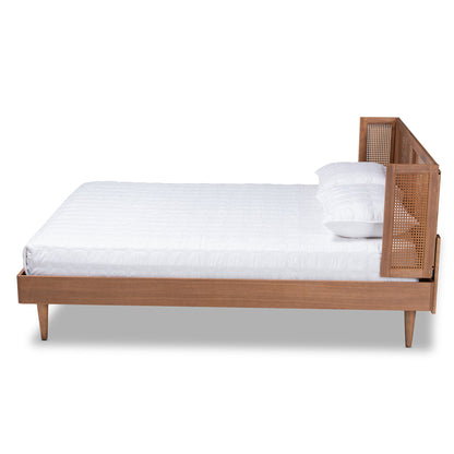 Royal Marwar Solid Sheesham Wood Queen Size Cane Bed | Modern Wooden Platform Bed | Premium Honey Finish | Without Storage