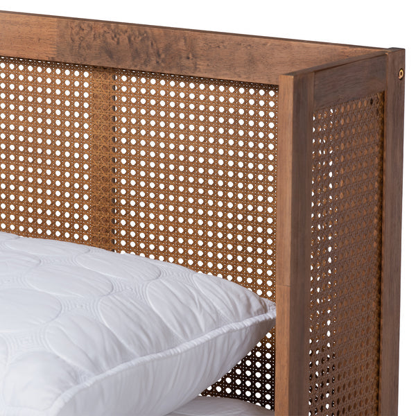 Royal Marwar Solid Sheesham Wood Queen Size Cane Bed | Modern Wooden Platform Bed | Premium Honey Finish | Without Storage